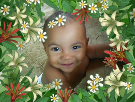 allison 
